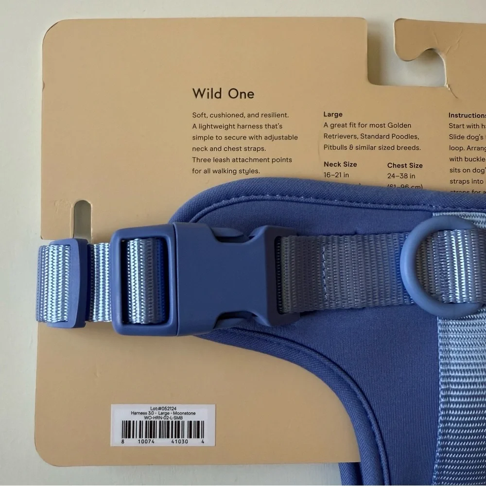 Wild One wild one